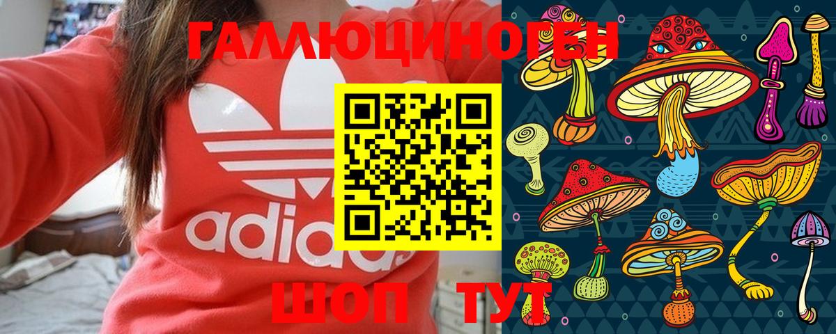 Псилоцибиновые грибы Cubensis Томск